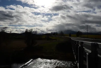 DSC_1017 (Large).JPG